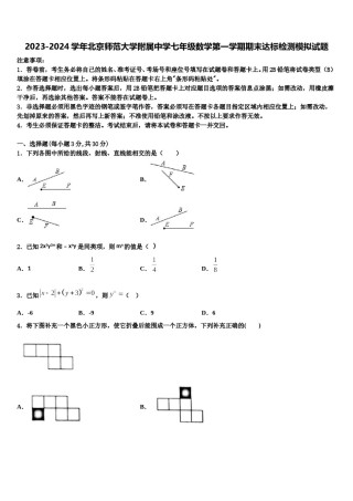 2023-2024学年北京师范大学附属中学七年级数学第一学期期末达标检测模拟试题含解析.doc