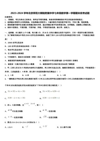 2023-2024学年北京师范大朝阳附属中学七年级数学第一学期期末统考试题含解析.doc