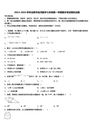2023-2024学年合肥市包河数学七年级第一学期期末考试模拟试题含解析.doc