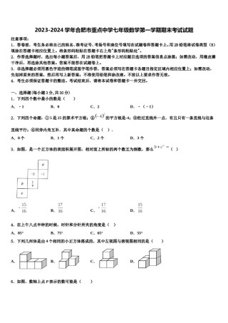 2023-2024学年合肥市重点中学七年级数学第一学期期末考试试题含解析.doc