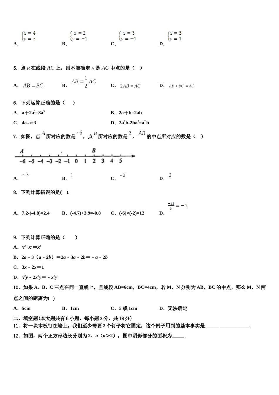 2023-2024学年吉林省白城地区大安县七年级数学第一学期期末经典模拟试题含解析.doc_第2页