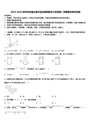 2023-2024学年吉林省长春市名校调研数学七年级第一学期期末联考试题含解析.doc