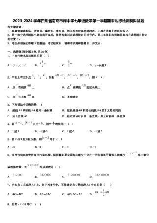2023-2024学年四川省南充市阆中学七年级数学第一学期期末达标检测模拟试题含解析.doc