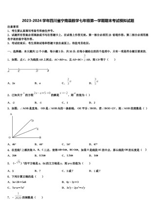 2023-2024学年四川省宁南县数学七年级第一学期期末考试模拟试题含解析.doc