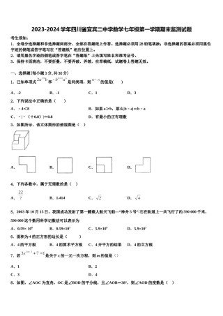 2023-2024学年四川省宜宾二中学数学七年级第一学期期末监测试题含解析.doc