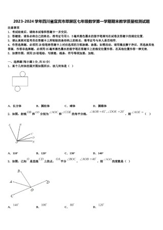 2023-2024学年四川省宜宾市翠屏区七年级数学第一学期期末教学质量检测试题含解析.doc