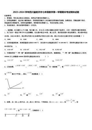 2023-2024学年四川省射洪市七年级数学第一学期期末考试模拟试题含解析.doc