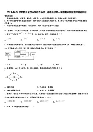 2023-2024学年四川省巴中学市巴中学七年级数学第一学期期末质量跟踪监视试题含解析.doc