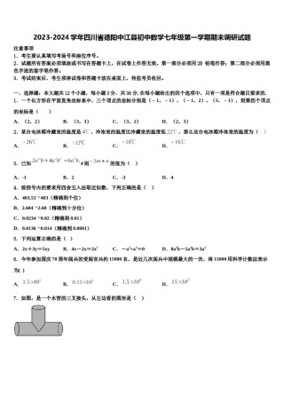 2023-2024学年四川省德阳中江县初中数学七年级第一学期期末调研试题含解析.doc