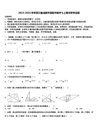 2023-2024学年四川省成都市简阳市数学七上期末联考试题含解析.doc