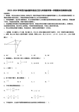 2023-2024学年四川省成都市青白江区七年级数学第一学期期末经典模拟试题含解析.doc