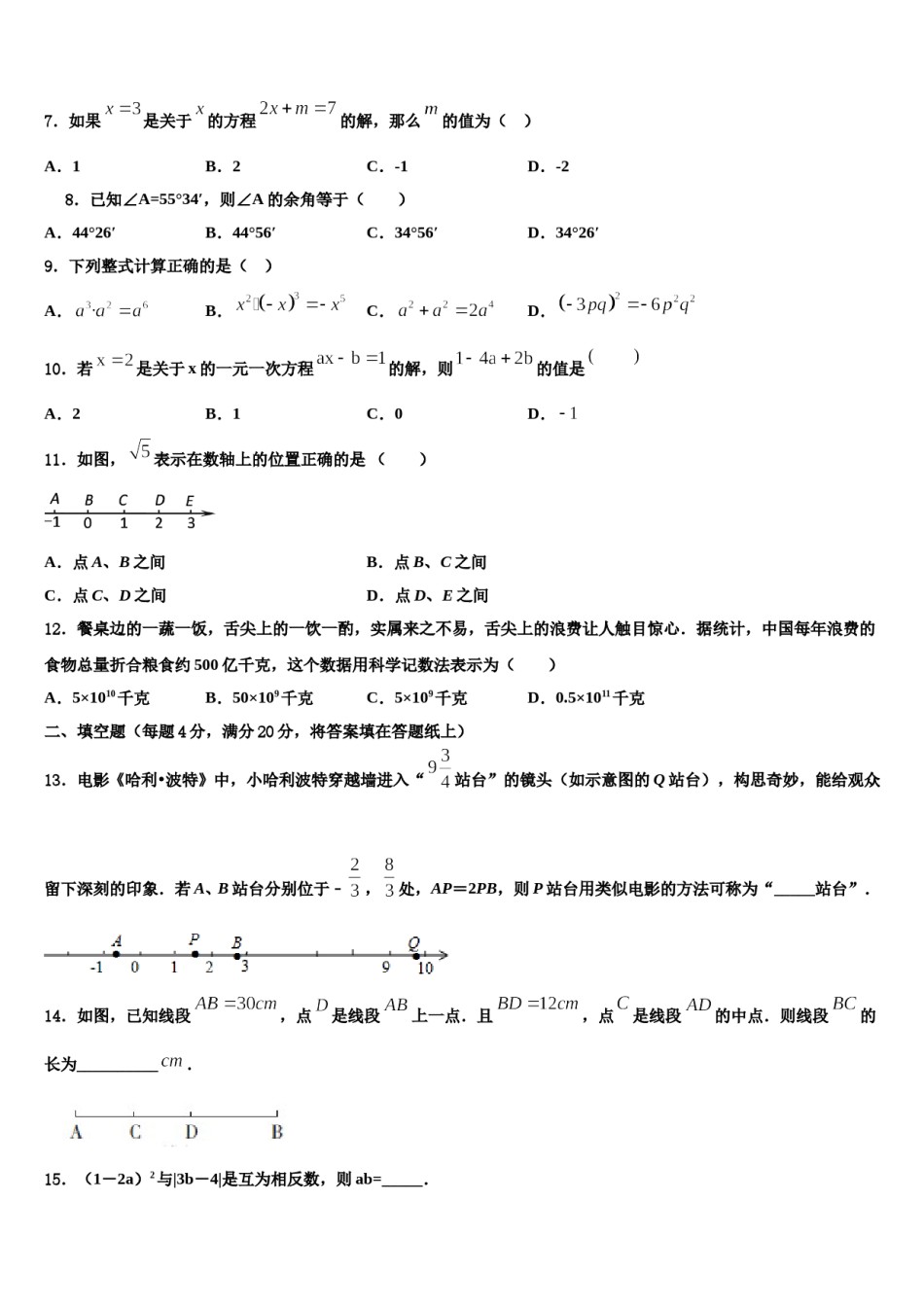 2023-2024学年四川省成都高新东区七年级数学第一学期期末质量跟踪监视试题含解析.doc_第2页