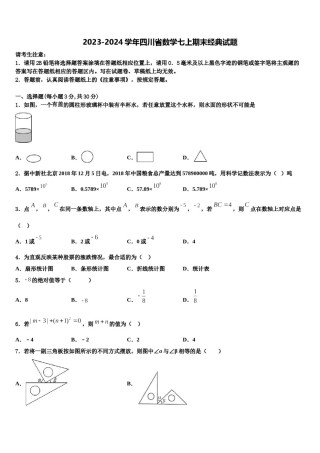 2023-2024学年四川省数学七上期末经典试题含解析.doc