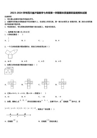 2023-2024学年四川省泸县数学七年级第一学期期末质量跟踪监视模拟试题含解析.doc