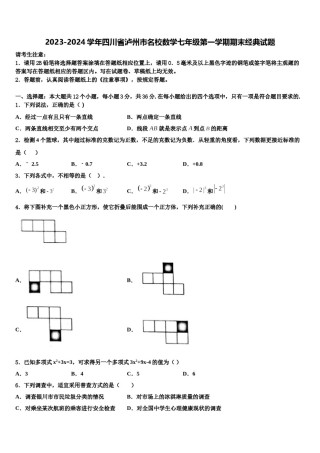 2023-2024学年四川省泸州市名校数学七年级第一学期期末经典试题含解析.doc