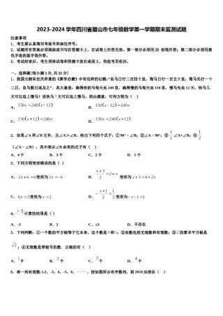 2023-2024学年四川省眉山市七年级数学第一学期期末监测试题含解析.doc
