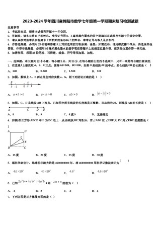 2023-2024学年四川省绵阳市数学七年级第一学期期末复习检测试题含解析.doc