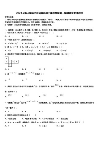 2023-2024学年四川省营山县七年级数学第一学期期末考试试题含解析.doc