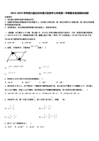 2023-2024学年四川省达州市通川区数学七年级第一学期期末监测模拟试题含解析.doc