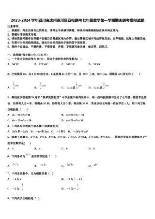 2023-2024学年四川省达州达川区四校联考七年级数学第一学期期末联考模拟试题含解析.doc
