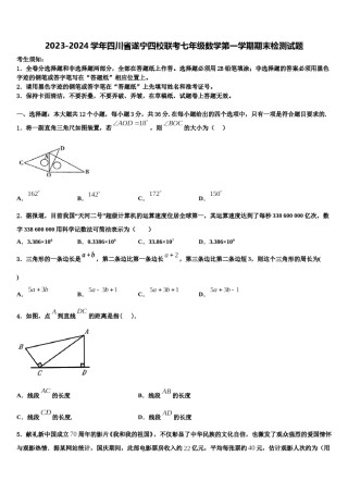 2023-2024学年四川省遂宁四校联考七年级数学第一学期期末检测试题含解析.doc