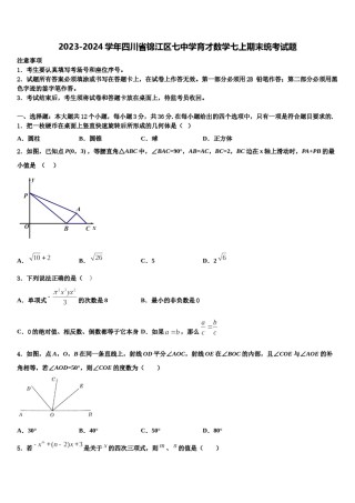 2023-2024学年四川省锦江区七中学育才数学七上期末统考试题含解析.doc