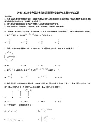 2023-2024学年四川省阳东辰国际学校数学七上期末考试试题含解析.doc