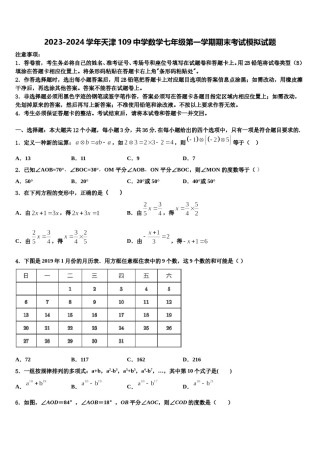 2023-2024学年天津109中学数学七年级第一学期期末考试模拟试题含解析.doc