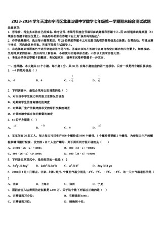 2023-2024学年天津市宁河区北淮淀镇中学数学七年级第一学期期末综合测试试题含解析.doc