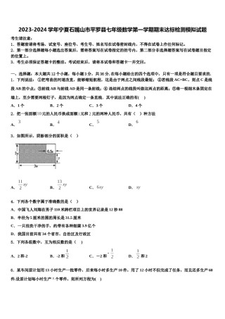 2023-2024学年宁夏石嘴山市平罗县七年级数学第一学期期末达标检测模拟试题含解析.doc