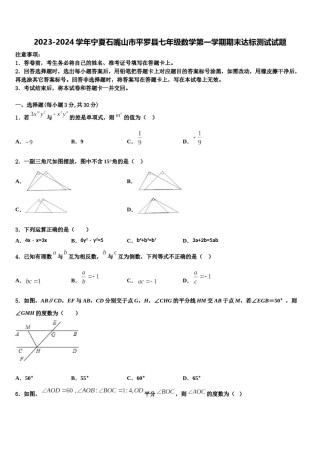 2023-2024学年宁夏石嘴山市平罗县七年级数学第一学期期末达标测试试题含解析.doc