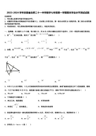 2023-2024学年安徽省合肥二十一中学数学七年级第一学期期末学业水平测试试题含解析.doc