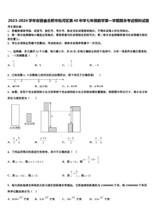 2023-2024学年安徽省合肥市包河区第48中学七年级数学第一学期期末考试模拟试题含解析.doc