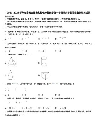 2023-2024学年安徽省合肥市名校七年级数学第一学期期末学业质量监测模拟试题含解析.doc