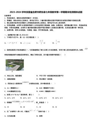 2023-2024学年安徽省合肥市肥东县七年级数学第一学期期末检测模拟试题含解析.doc