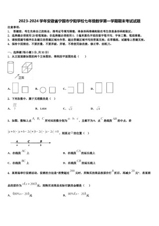 2023-2024学年安徽省宁国市宁阳学校七年级数学第一学期期末考试试题含解析.doc