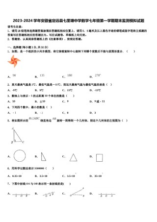 2023-2024学年安徽省定远县七里塘中学数学七年级第一学期期末监测模拟试题含解析.doc