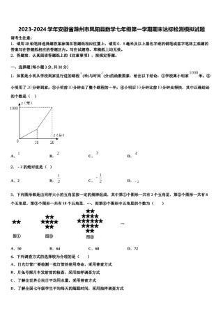 2023-2024学年安徽省滁州市凤阳县数学七年级第一学期期末达标检测模拟试题含解析.doc