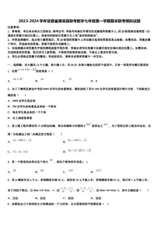 2023-2024学年安徽省濉溪县联考数学七年级第一学期期末联考模拟试题含解析.doc