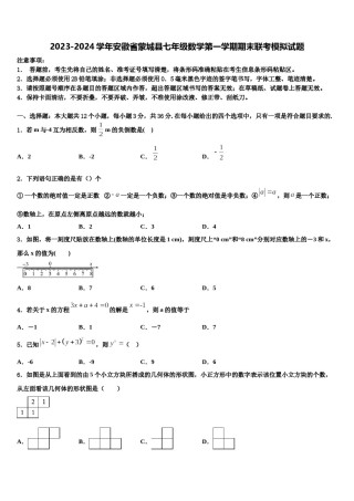 2023-2024学年安徽省蒙城县七年级数学第一学期期末联考模拟试题含解析.doc