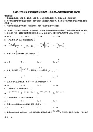 2023-2024学年安徽省蒙城县数学七年级第一学期期末复习检测试题含解析.doc