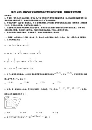 2023-2024学年安徽省蚌埠固镇县联考七年级数学第一学期期末联考试题含解析.doc