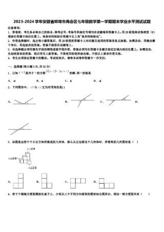2023-2024学年安徽省蚌埠市禹会区七年级数学第一学期期末学业水平测试试题含解析.doc