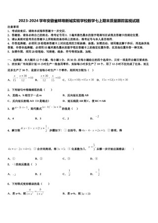 2023-2024学年安徽省蚌埠新城实验学校数学七上期末质量跟踪监视试题含解析.doc
