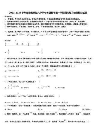 2023-2024学年安徽省阜阳九中学七年级数学第一学期期末复习检测模拟试题含解析.doc
