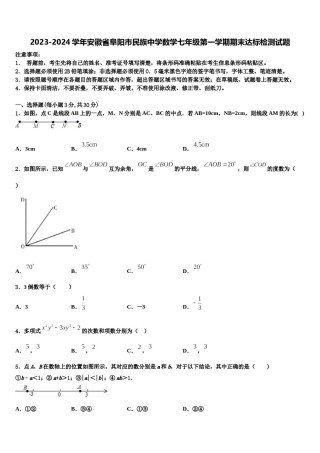 2023-2024学年安徽省阜阳市民族中学数学七年级第一学期期末达标检测试题含解析.doc