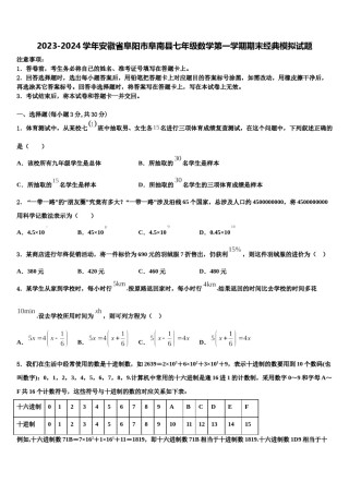 2023-2024学年安徽省阜阳市阜南县七年级数学第一学期期末经典模拟试题含解析.doc