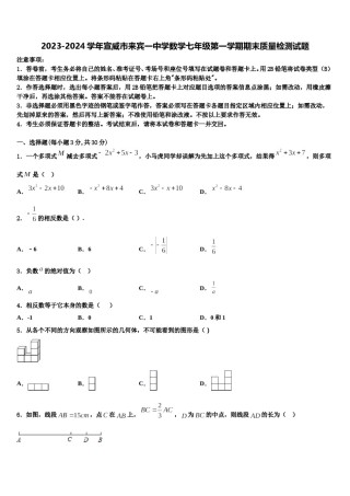 2023-2024学年宣威市来宾一中学数学七年级第一学期期末质量检测试题含解析.doc
