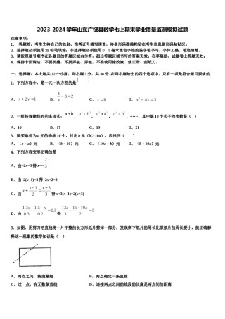 2023-2024学年山东广饶县数学七上期末学业质量监测模拟试题含解析.doc