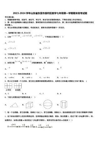 2023-2024学年山东省东营市垦利区数学七年级第一学期期末统考试题含解析.doc